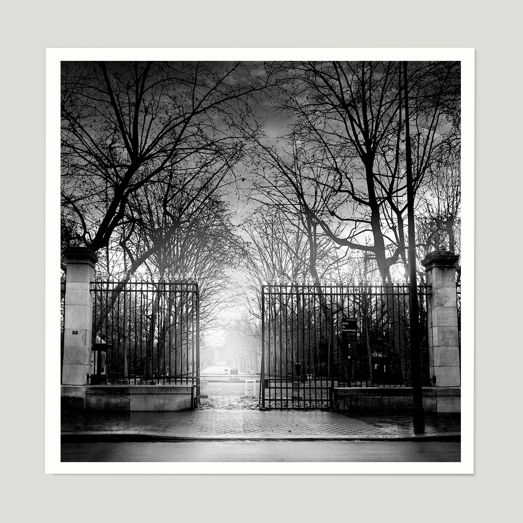 Collections – JEAN MICHEL BERTS